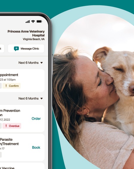 Happy dog profile